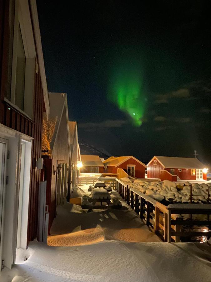 Rorbu I Lofoten Leknes Exteriér fotografie